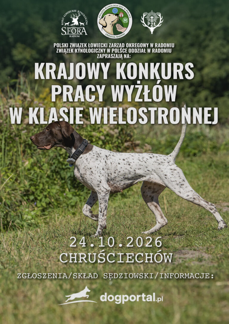Dwa dni konkursów psów myśliwskich w Chruściechowie!